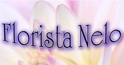 Florista Nelo